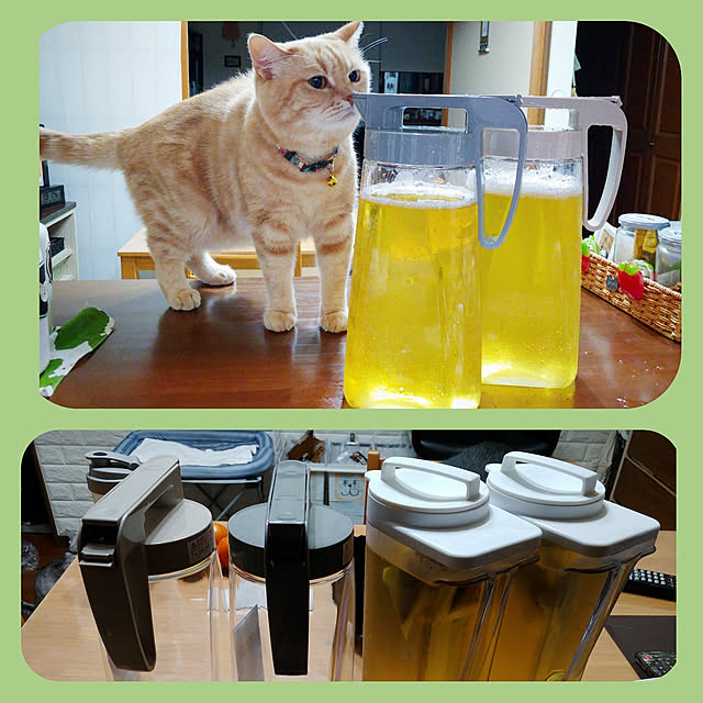 mntcさんの実例写真