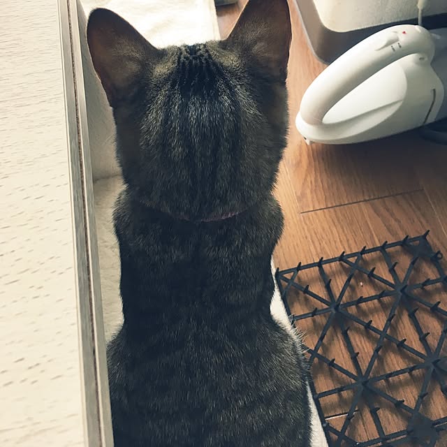 sayasさんの実例写真