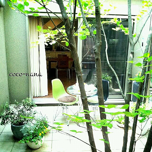 coconana165さんの実例写真