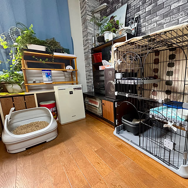 tututu0204さんの部屋