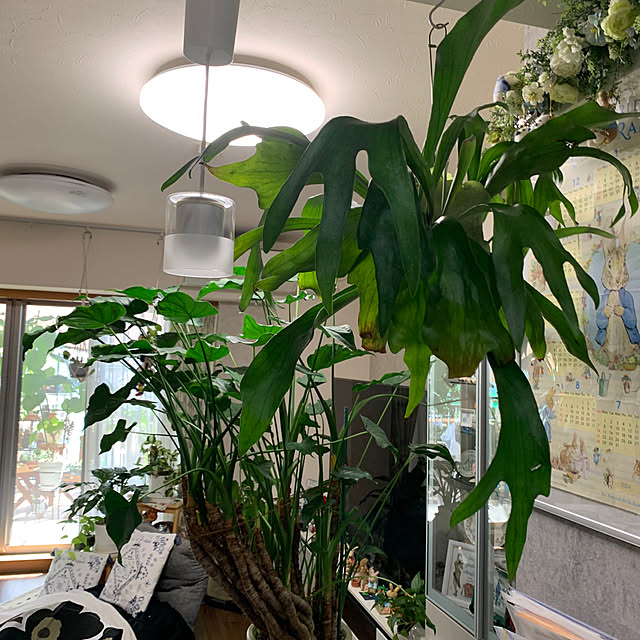 Aqettyさんの部屋