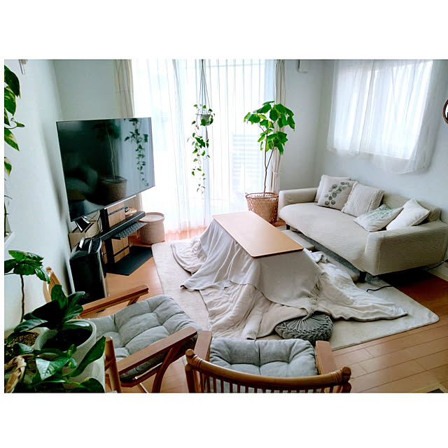 kodaminさんの実例写真