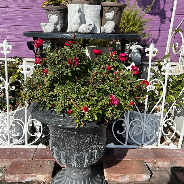 AYUKOさんの部屋