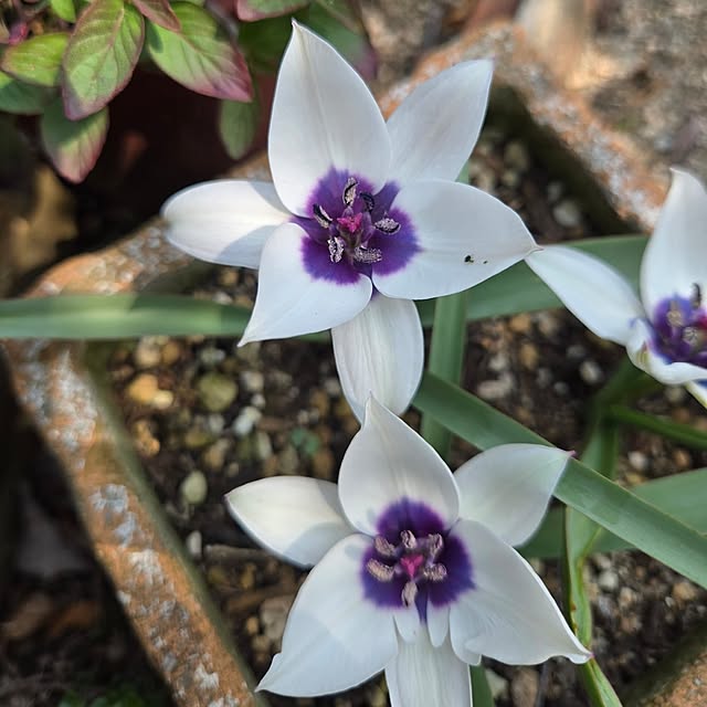 min_nimさんの実例写真