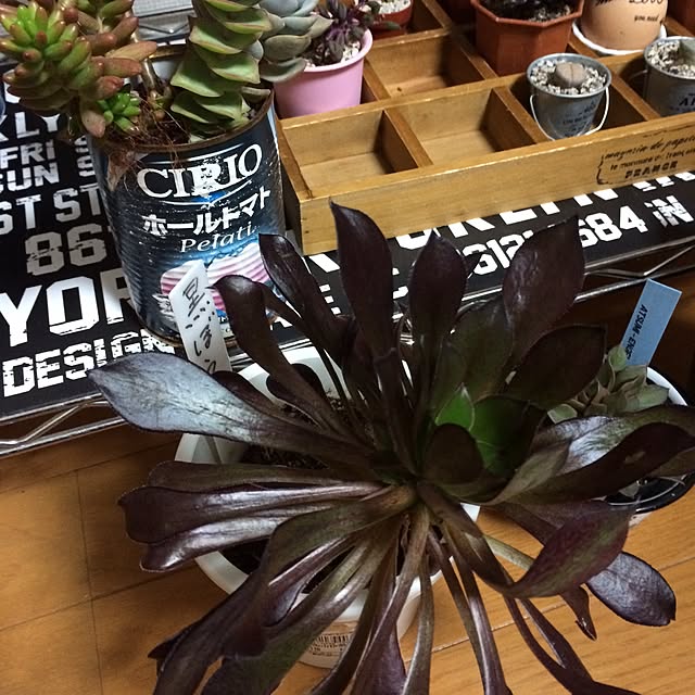 chie05さんの実例写真