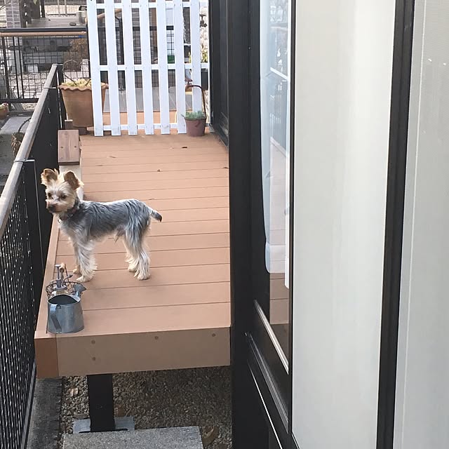 mayuoさんの実例写真