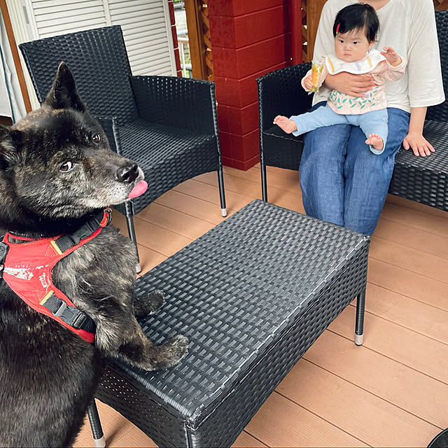 haruさんの実例写真