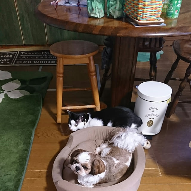 SHIHOさんの実例写真