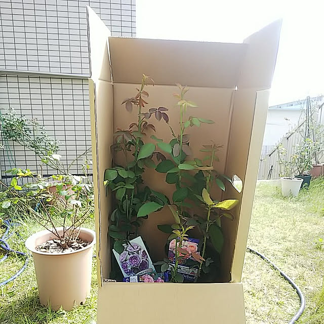 hiromimiさんの実例写真