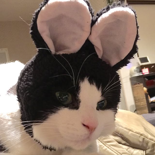 neuruさんの実例写真