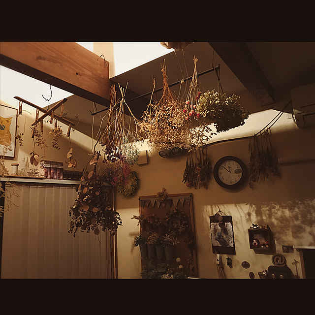 portulacaさんの実例写真