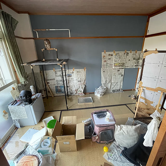 部屋全体のインテリア実例 - 2021-06-12 15:27:25