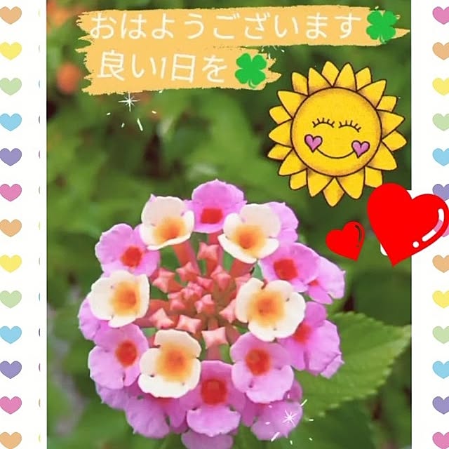 mocomocoさんの実例写真