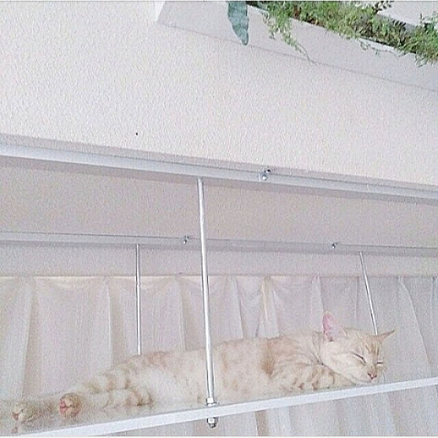 heart.emiemi57.whiteさんの実例写真