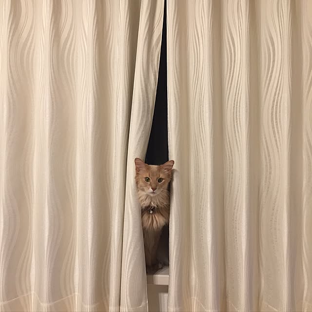 mofucatさんの実例写真