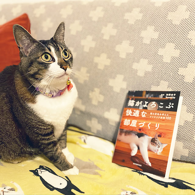 RuTatataNさんの実例写真