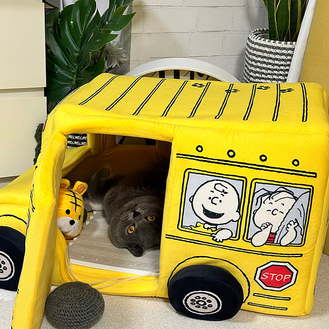 kittyさんの実例写真