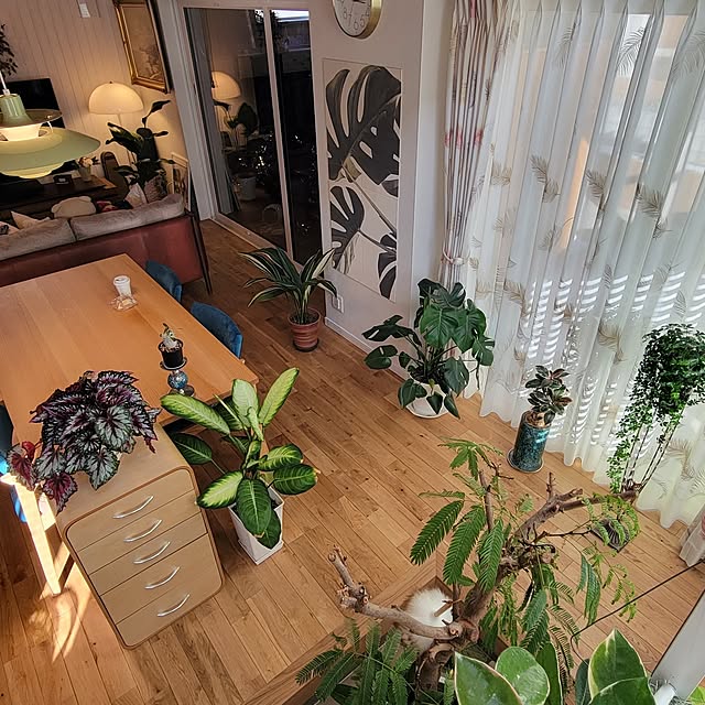 nonbiri_house_さんの実例写真