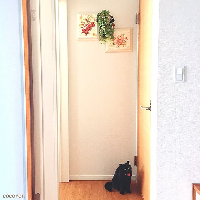 cocoronさんの実例写真