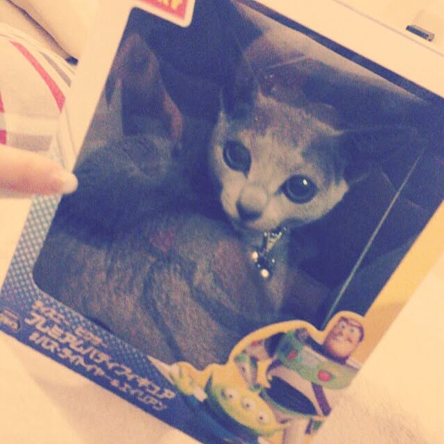 nekochanさんの実例写真