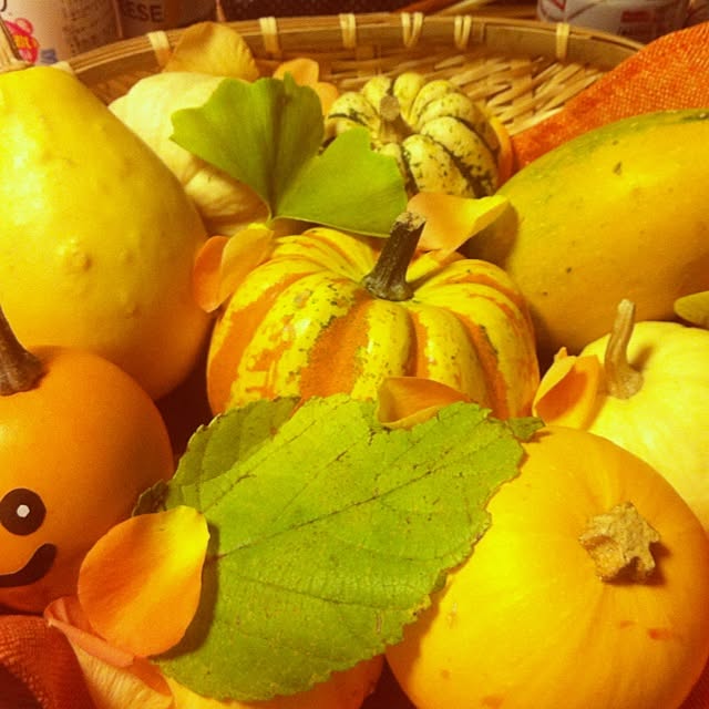acco3さんの実例写真