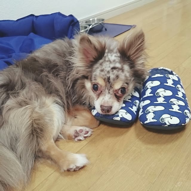 emuさんの実例写真