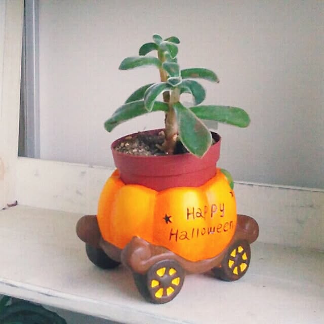 hana4504さんの実例写真