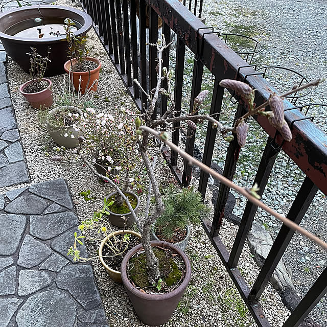 shin0719さんの実例写真