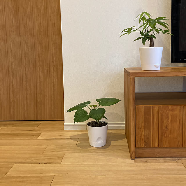 SATO_PASTAさんの実例写真