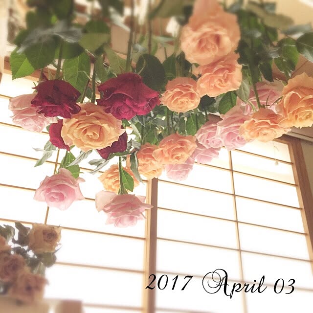 mockさんの実例写真