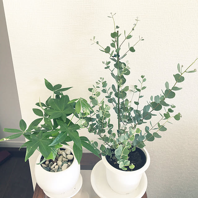 takiさんの実例写真