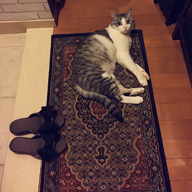 emmyyさんの実例写真