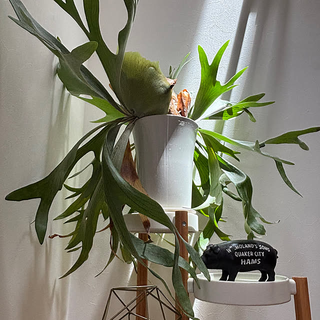 timtamさんの部屋