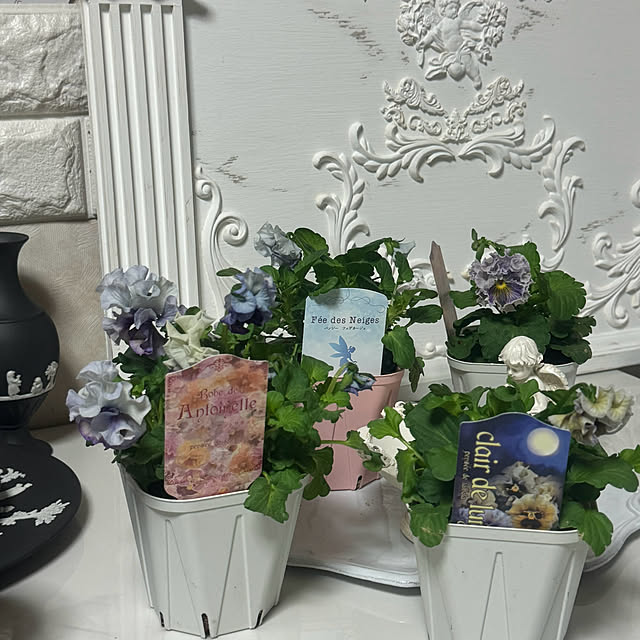 cocoさんの部屋