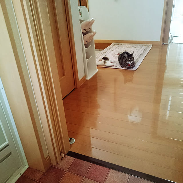 lilyさんの実例写真