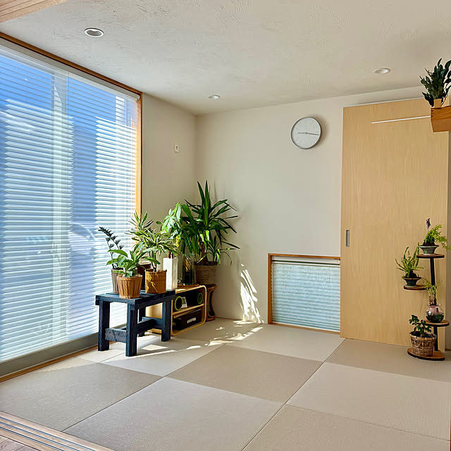 tamabaka1971さんの部屋