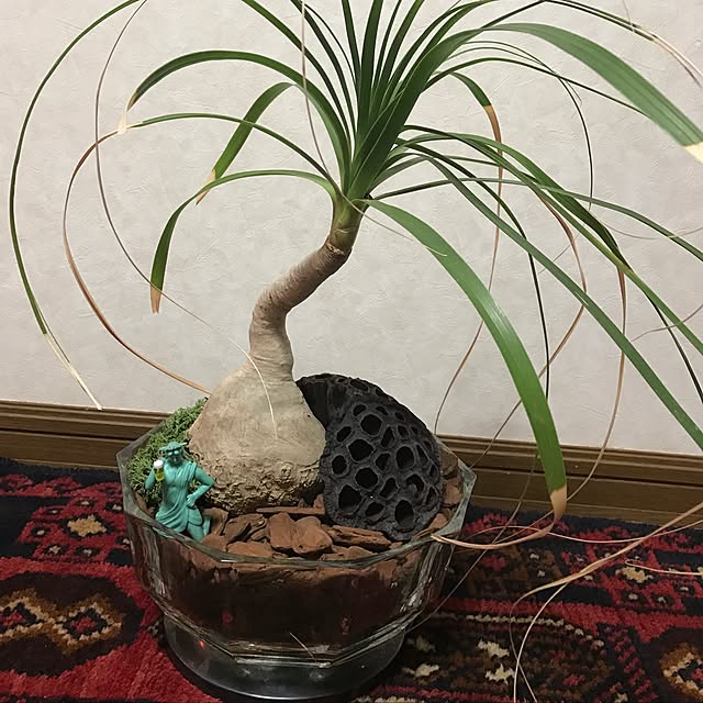 seita0308さんの実例写真