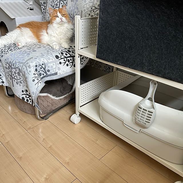 H.Tさんの部屋