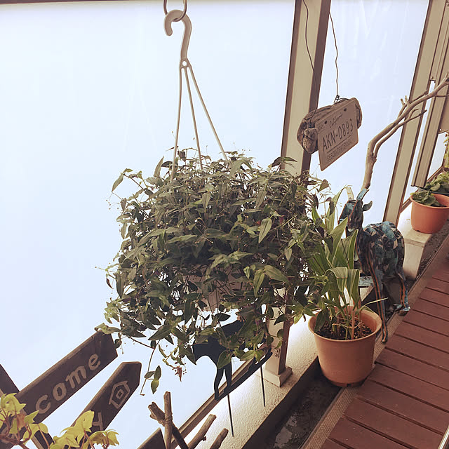 0415さんの実例写真