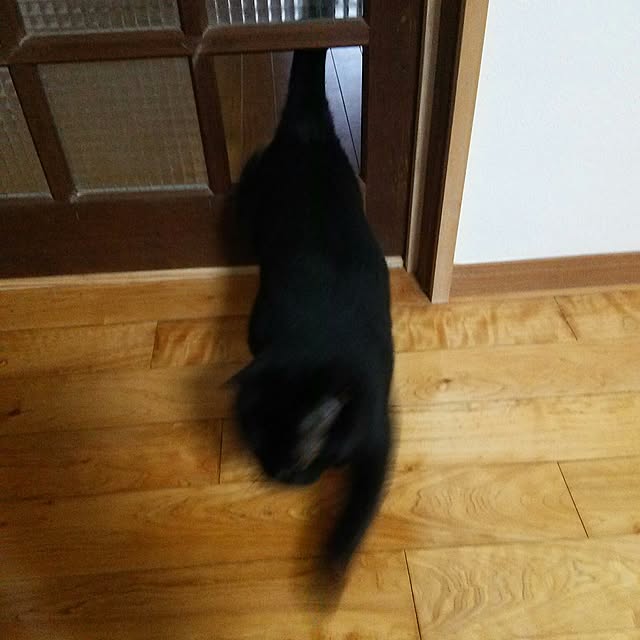 kuromiさんの実例写真