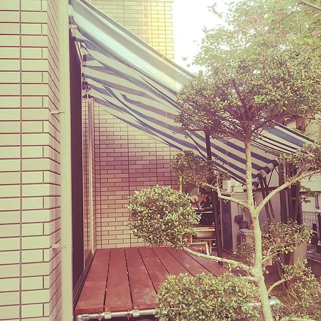 antiqueheartさんの実例写真