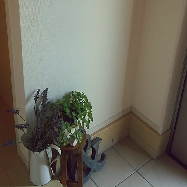 玄関/入り口のインテリア実例 - 2017-10-08 09:56:20
