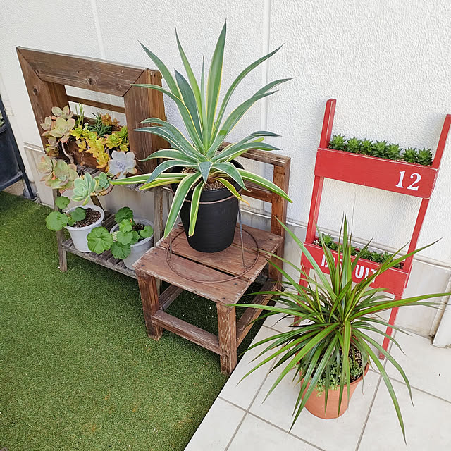 VERANDARJUNさんの実例写真