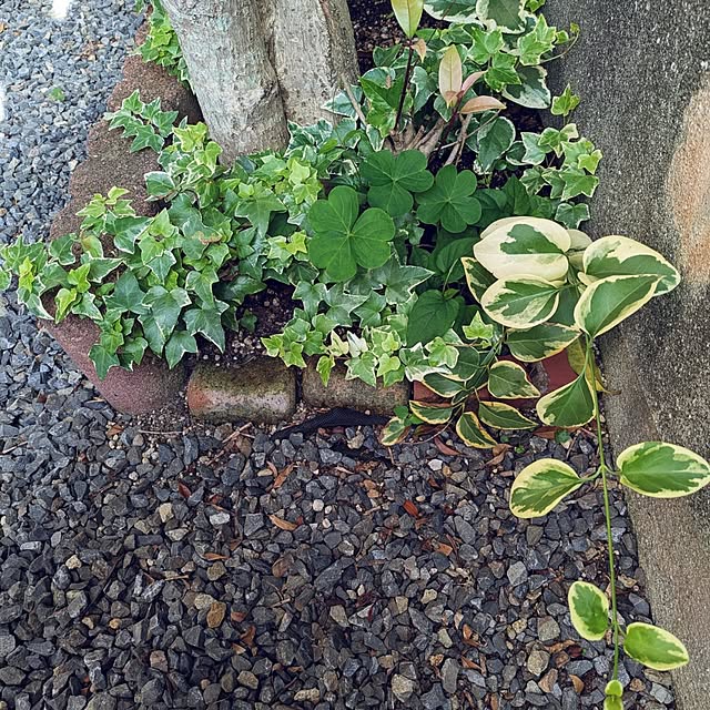 Renさんの部屋