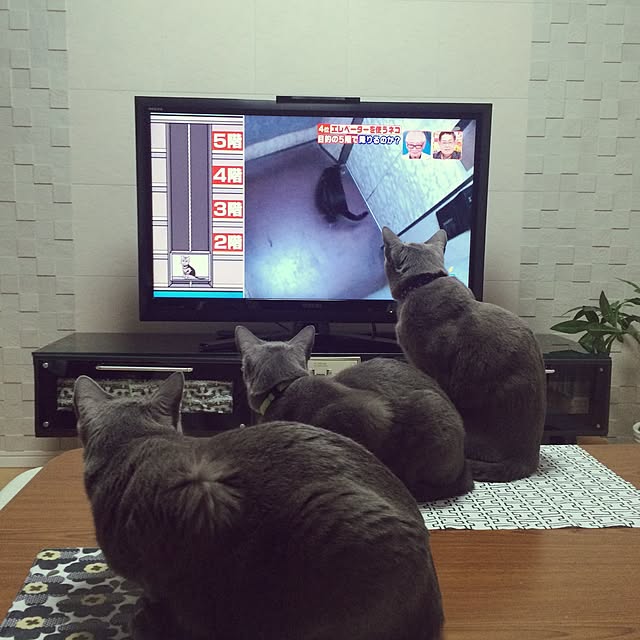 roshi3さんの実例写真