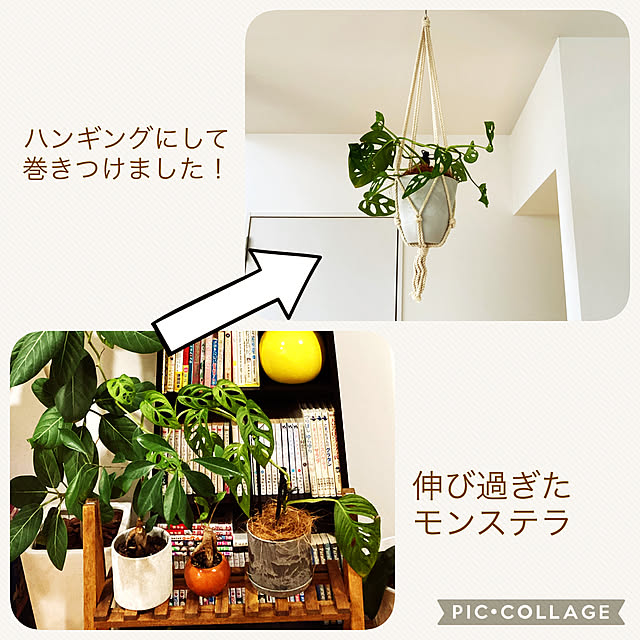 milsaさんの実例写真