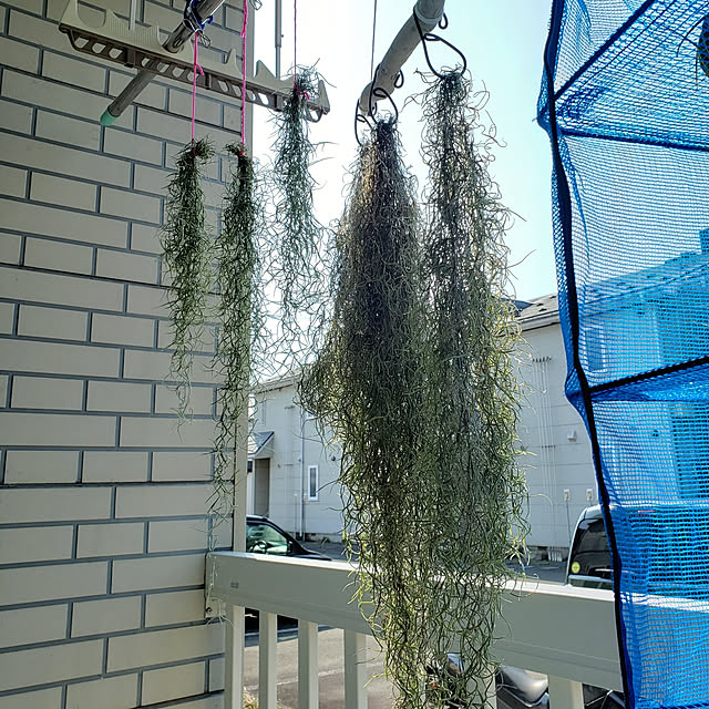 oceanflatさんの実例写真
