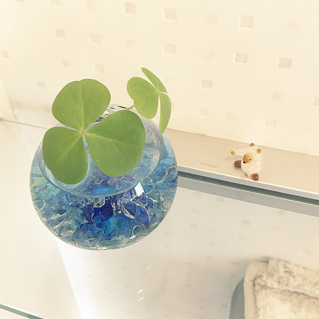 pu-さんの実例写真