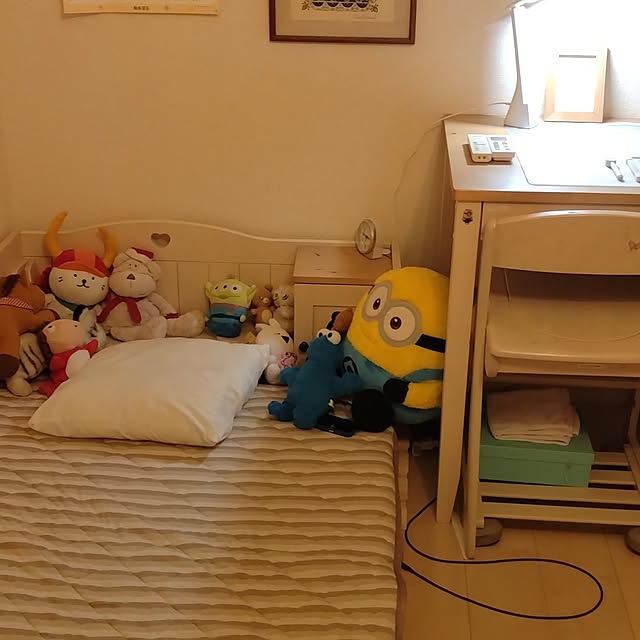 nassygoldcopperさんの実例写真