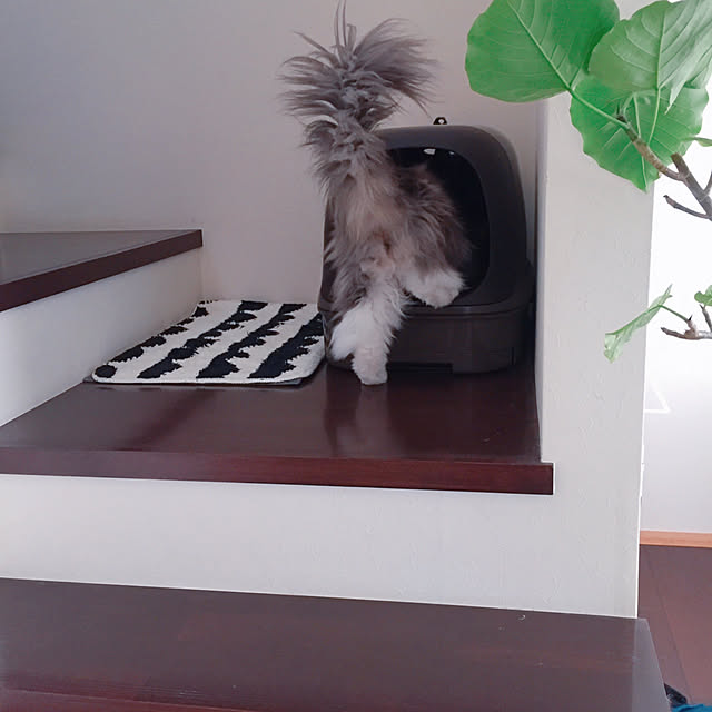 emさんの実例写真